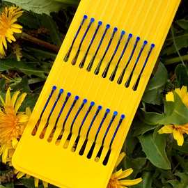 互聯網銷售的發展與未來展望